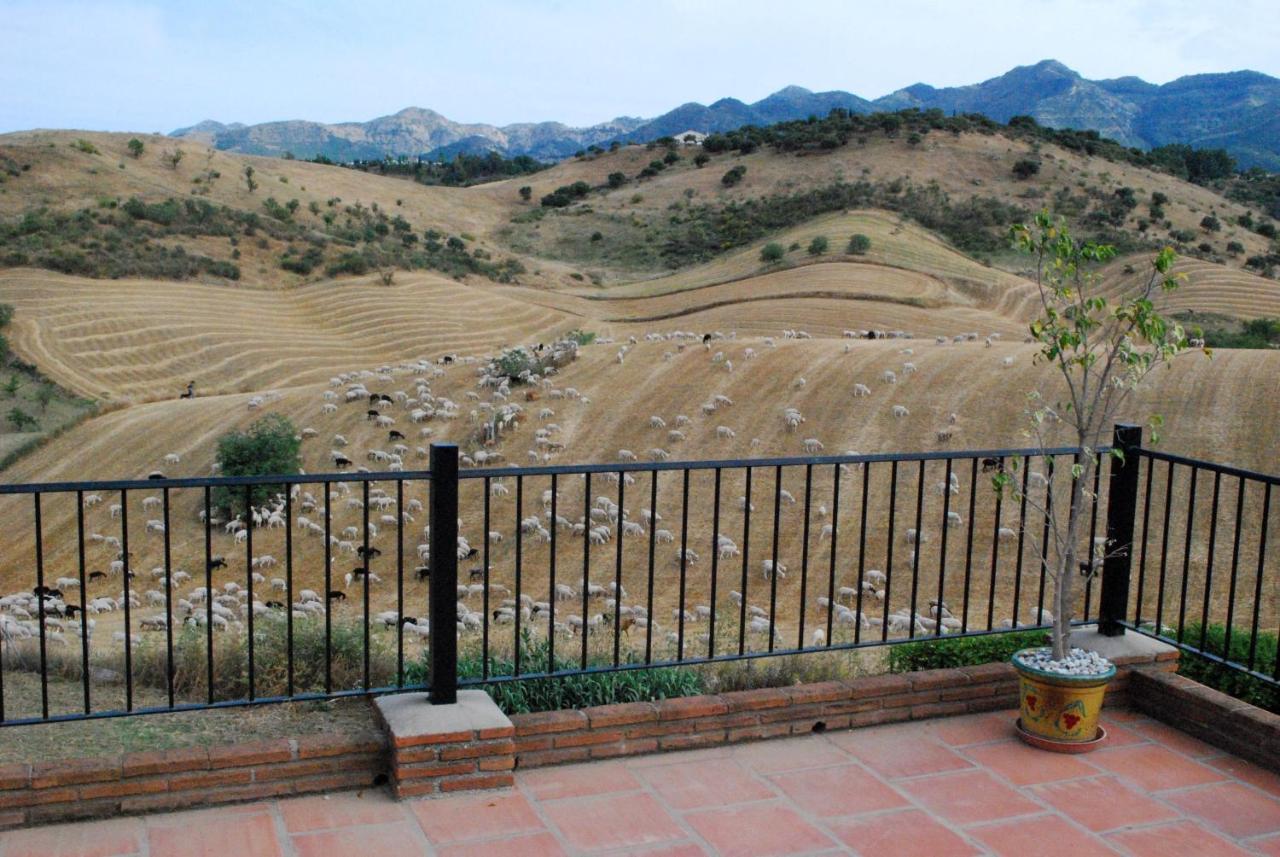 Bed & Breakfast Finca De Los Suenos อาเลาริน เดลา ตอร์เร ภายนอก รูปภาพ